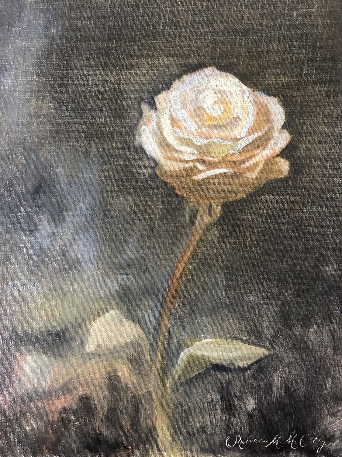 White Rose on a Stormy Day